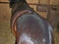 Zodiacon 2012 624.jpg